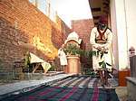 Other Vaishnava-festivals