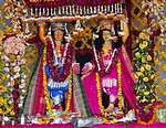 Gaura and Nitai