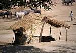 Hut