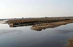 Yamuna