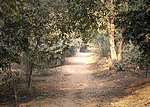 Path