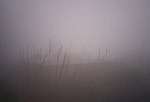 Foggy morning