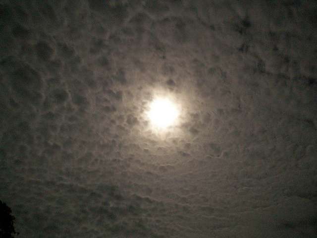 Full moon