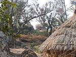 Huts