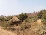 View of nature