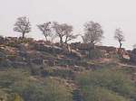 Hill
