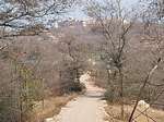 Path