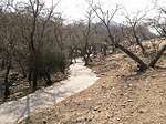Path