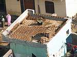 Cow dung patties