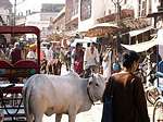 Traffic at Loi Bazaar