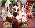 Vraja Festivals Series